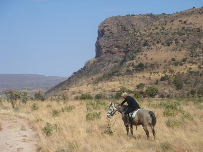 Horseback riding