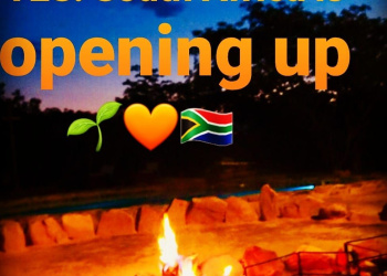 South Africa Opens Up